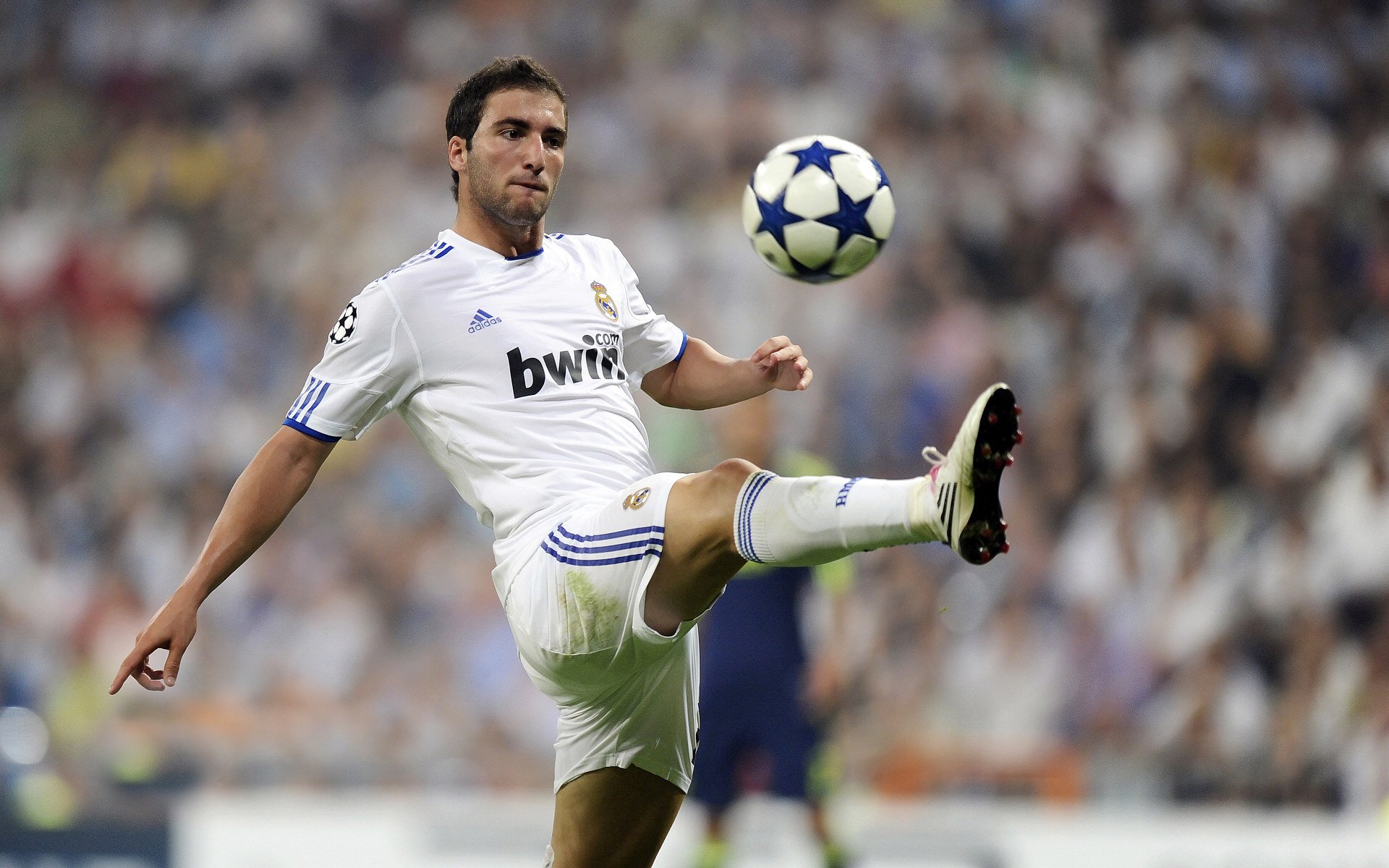 拜仁带队取胜！，大坂直美重要时刻刷新纪录再创辉煌时刻